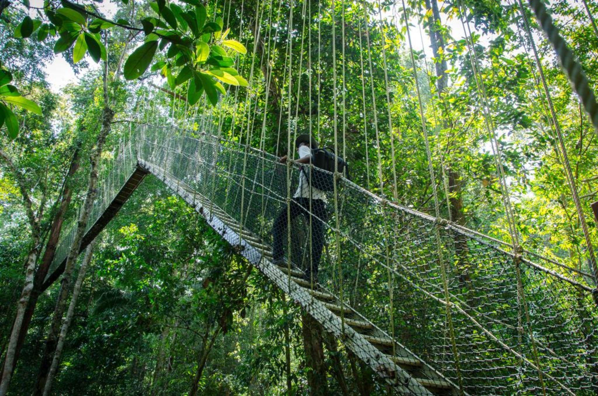 Mutiara Taman Negara Hotel Kuala Tahan Ngoại thất bức ảnh