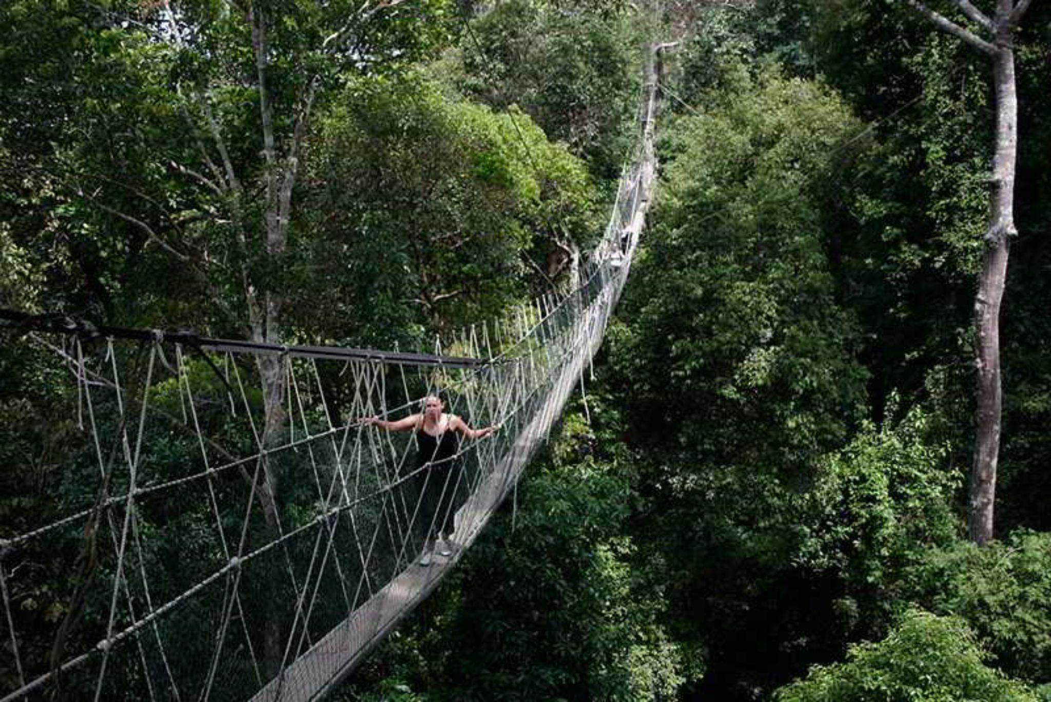 Mutiara Taman Negara Hotel Kuala Tahan Ngoại thất bức ảnh