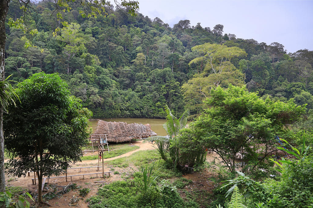 Mutiara Taman Negara Hotel Kuala Tahan Ngoại thất bức ảnh