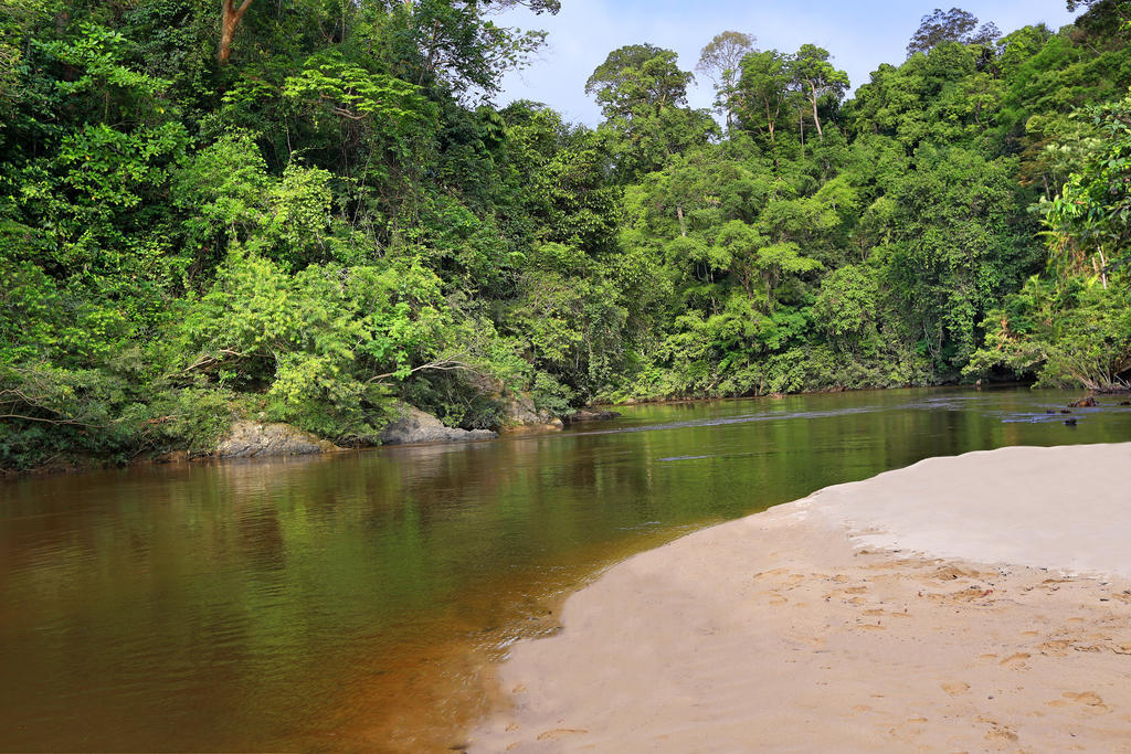 Mutiara Taman Negara Hotel Kuala Tahan Ngoại thất bức ảnh
